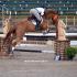 WTHJA Show